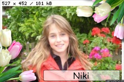 niki2.jpg